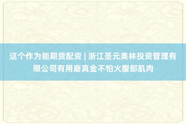 这个作为能期货配资 | 浙江圣元美林投资管理有限公司有用磨真金不怕火腹部肌肉